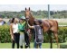  Carrera: P.Corpa  Caballo: The Game Monta: R.Sousa